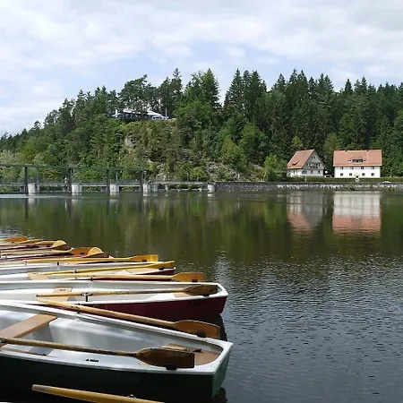 Сasa de vacaciones Nr 8d, Hagbügerl, Bayr Wald *