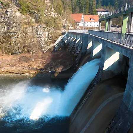 Nr 8d, Hagbügerl, Bayr Wald Waldmünchen