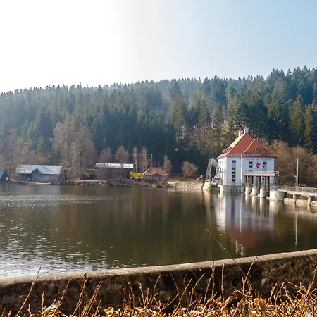Сasa de vacaciones Nr 8d, Hagbügerl, Bayr Wald Waldmünchen