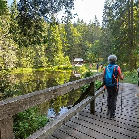 Nr 8d, Hagbügerl, Bayr Wald Сasa de vacaciones *