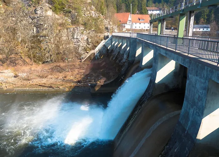 Nr 8d, Hagbügerl, Bayr Wald Waldmünchen